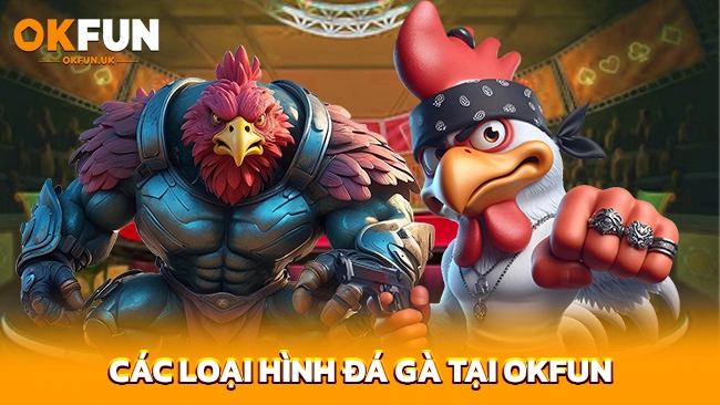 Các loại hình đá gà tại OKFUN